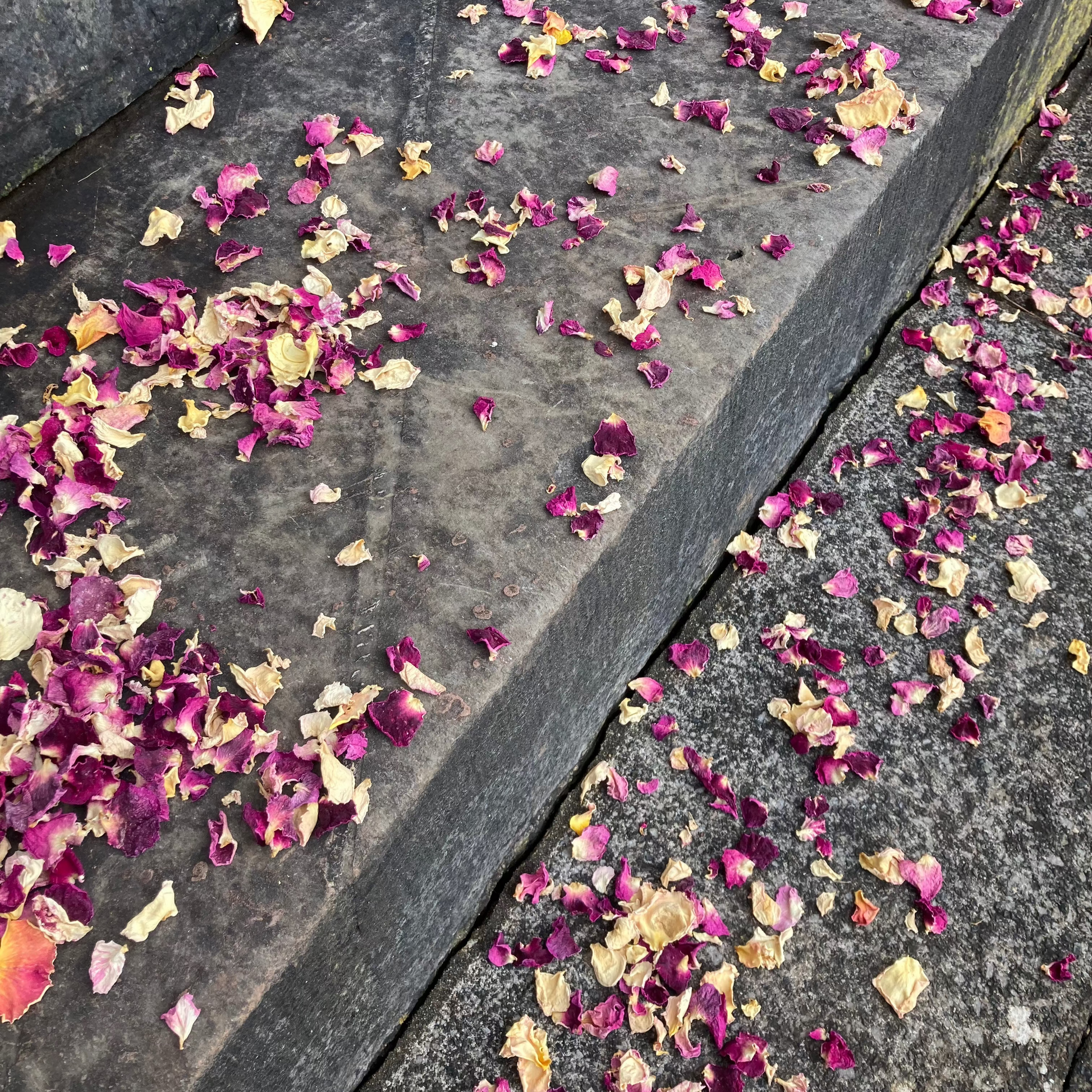 confetti on the ground
