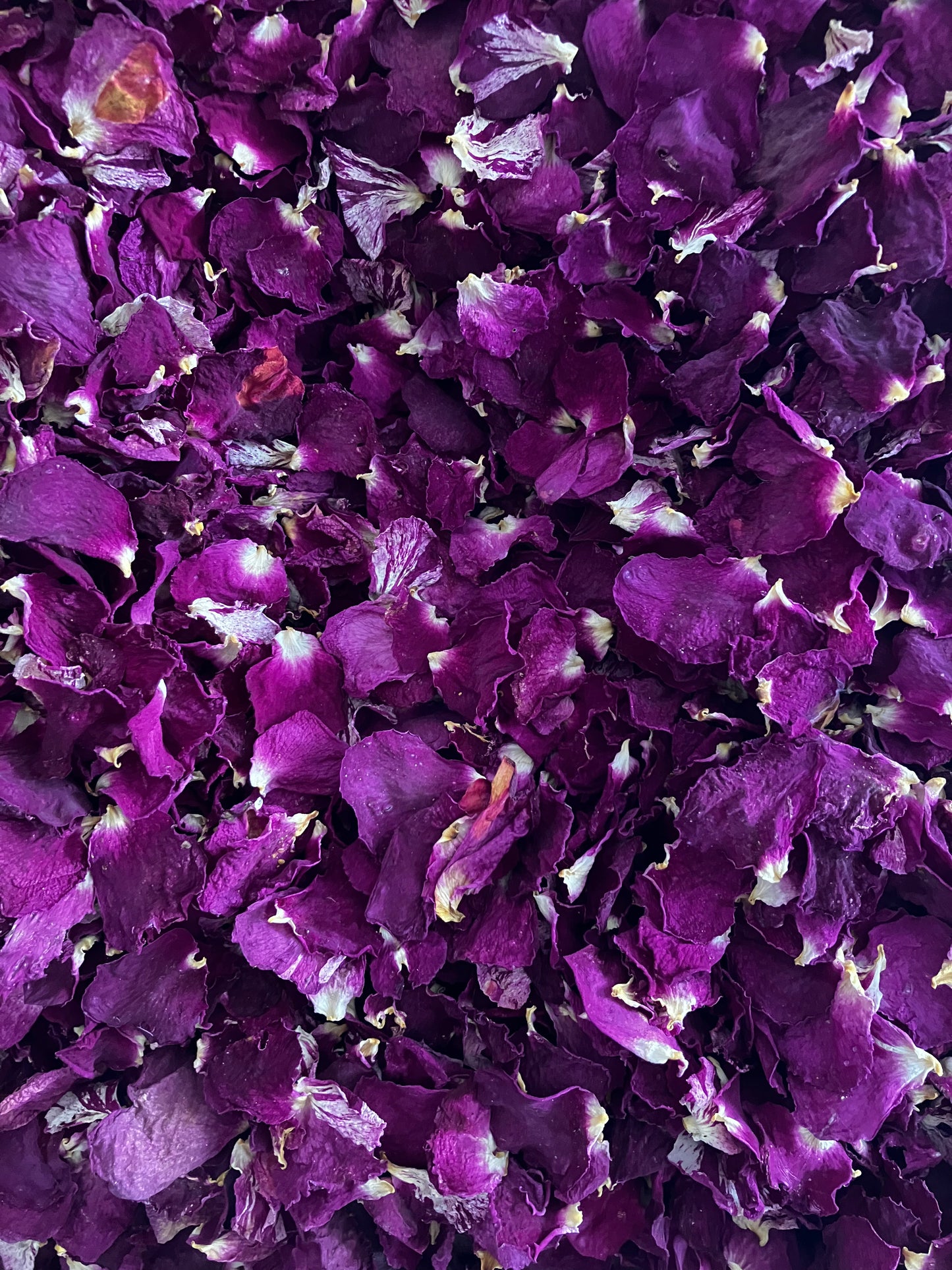Dried Pink Rose Petals - 5 litres