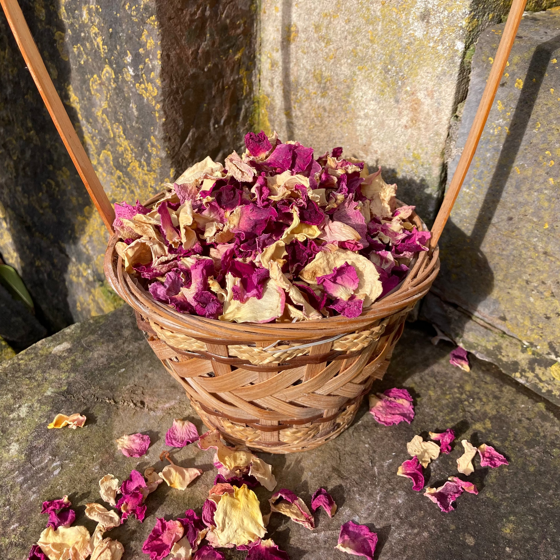 Dried Rose Petals in basket on stone step