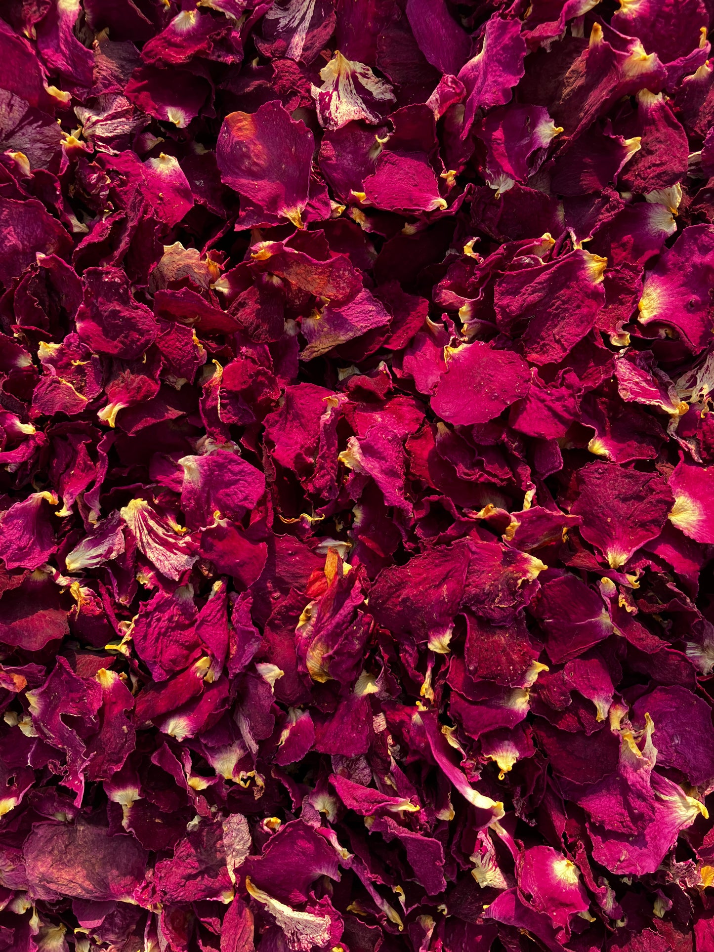 Dried Pink Rose Petals - 5 litres