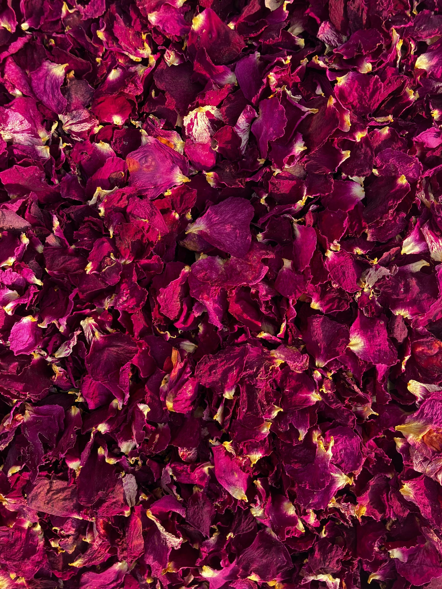 Dried Pink Rose Petals - 5 litres