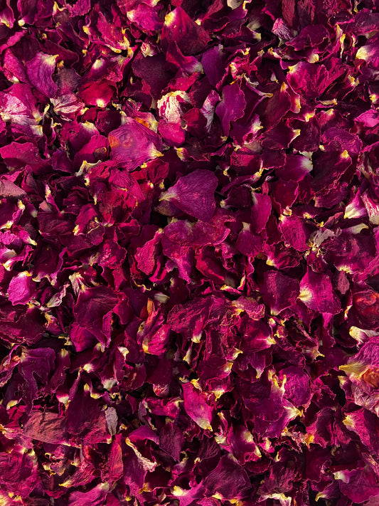 Dried Pink Rose Petals